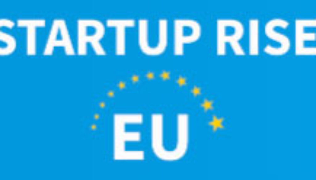 startup-rise