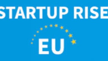 startup-rise